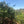 Bnivaans Estate | Kenya | Espresso
