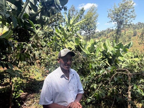 Bnivaans Estate | Kenya | Espresso