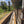 Gichathaini | Kenya | Filter
