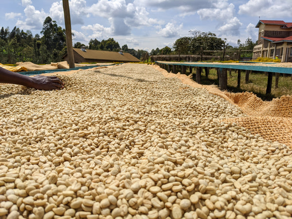 Gichathaini | Kenya | Filter