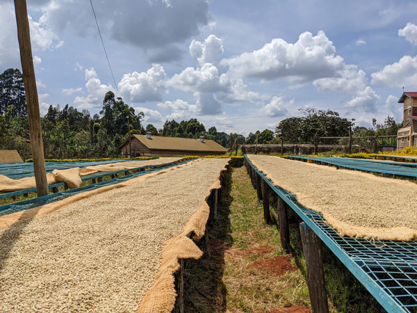 Gichathaini | Kenya | Filter