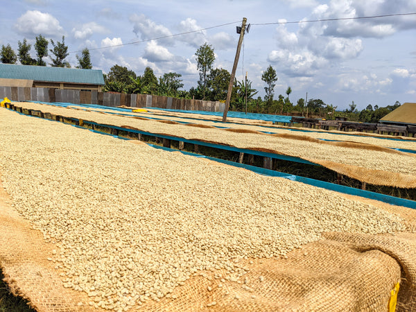 Gichathaini | Kenya | Filter