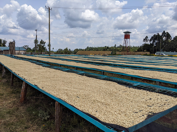 Gichathaini | Kenya | Filter