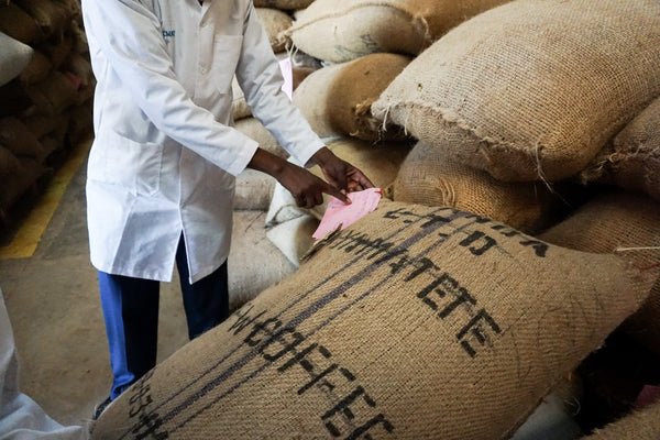 Gachatha | Kenya | Espresso