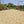 Karimikui AA | Kenya | Filter