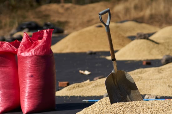Agua Sarca | Nicaragua | Filter