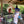 Pintado Huamán | Peru | Filter