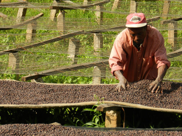 Gahahe | Burundi | Espresso
