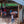 Jigesa | Ethiopia | Filter