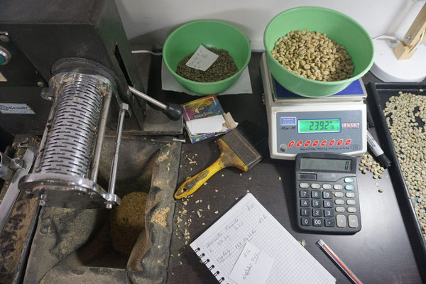 Canta Ranas | Colombia | Filter [Wholesale]