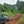 Jigesa | Ethiopia | Filter