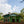Ayla Bombe | Ethiopia | Filter