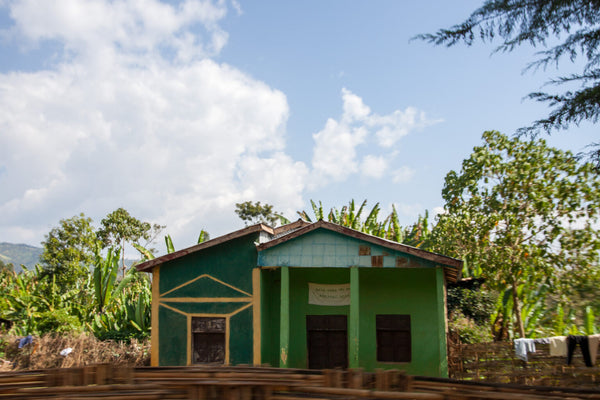 Ayla Bombe | Ethiopia | Filter