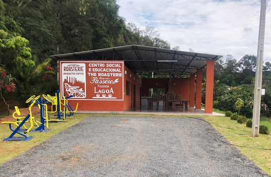 Deli | Pântano | Brazil [Wholesale]