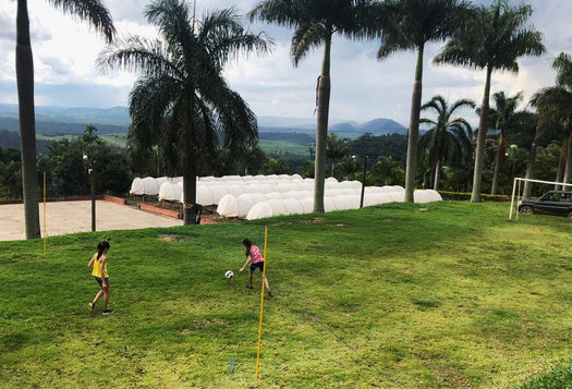 Deli | Pântano | Brazil [Wholesale]