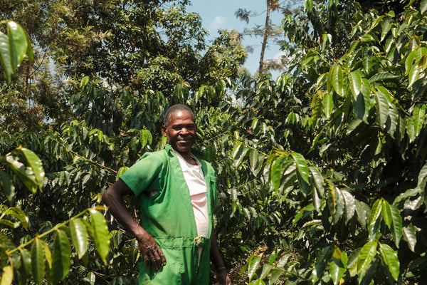 Sovu | Rwanda | Espresso