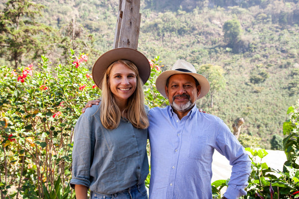 El Aguacate | Guatemala | Filter [Wholesale]