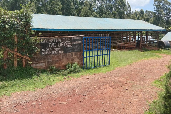 Gachatha | Kenya | Espresso