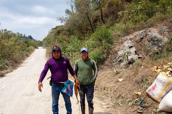 Nery Pablo | Guatemala | Filter