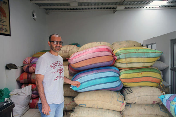 Canta Ranas | Colombia | Filter [Wholesale]