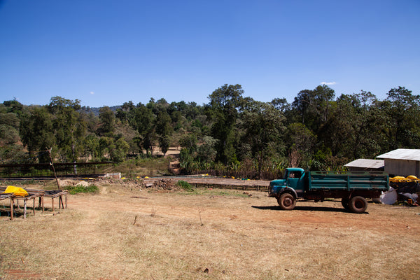 Hadeso | Ethiopia | Espresso
