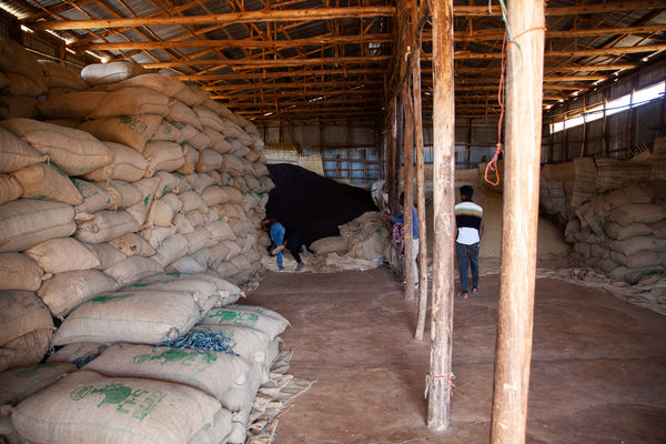 Hadeso | Ethiopia | Espresso