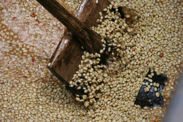 Kibingo | Burundi | Espresso