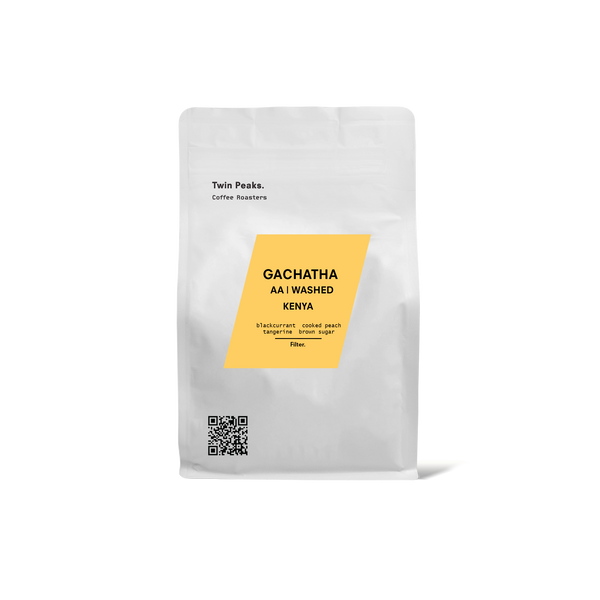 Gachatha | Kenya | Filter [Wholesale]