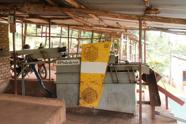 Philippe Sinayobye | Rwanda | Filter