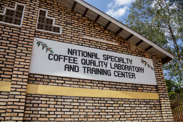 Philippe Sinayobye | Rwanda | Filter