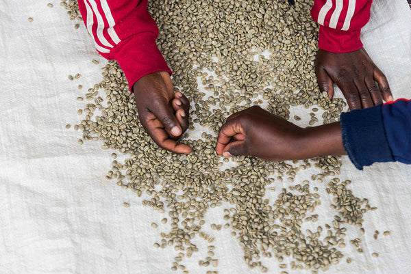 Sovu | Rwanda | Espresso