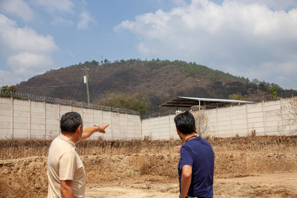 El Aguacate | Guatemala | Filter [Wholesale]