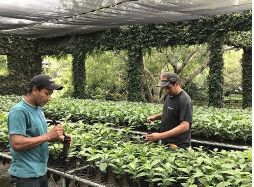 Profiler | Blend [Wholesale]