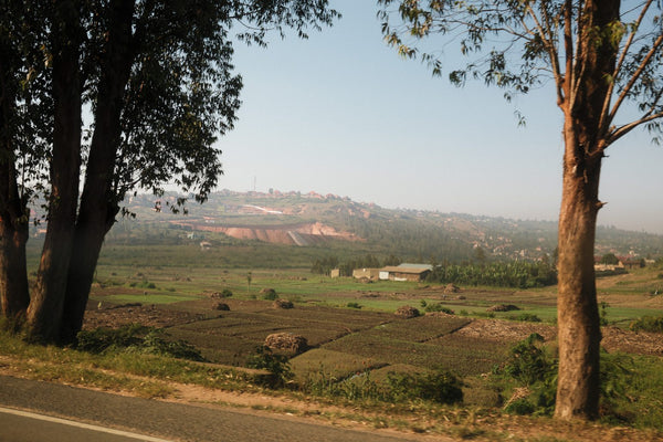 Sovu | Rwanda | Espresso