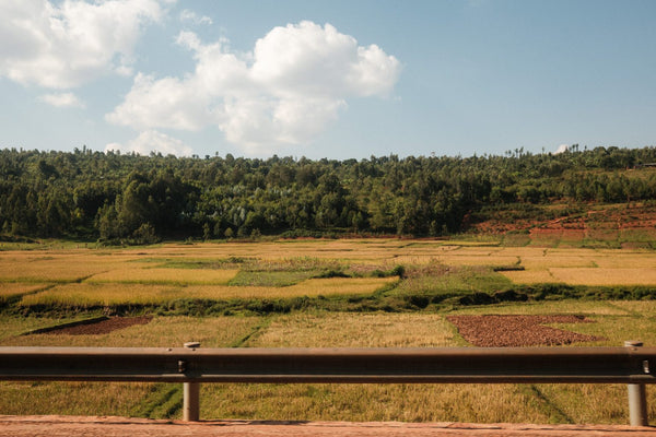 Sovu | Rwanda | Espresso