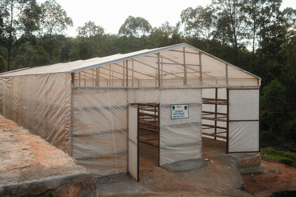 Sovu | Rwanda | Espresso