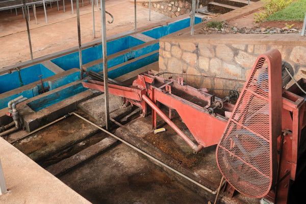 Sovu | Rwanda | Espresso