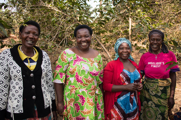 Ruli | Rwanda | Filter