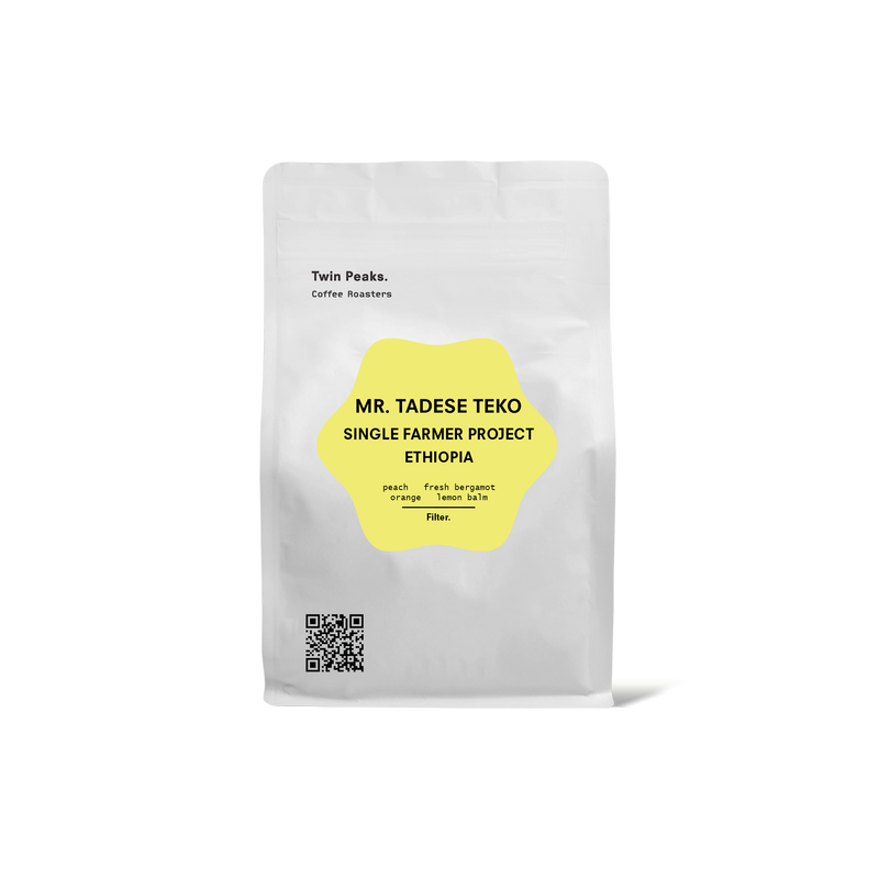 Mr. Tadese Teko | Ethiopia | Filter