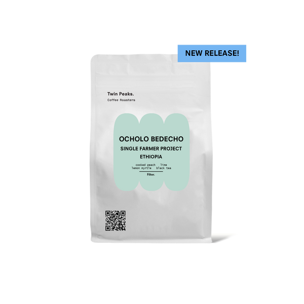 Mr. Ocholo Bedecho | Ethiopia | Filter