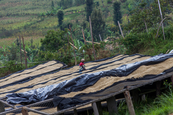 Philippe Sinayobye | Rwanda | Filter